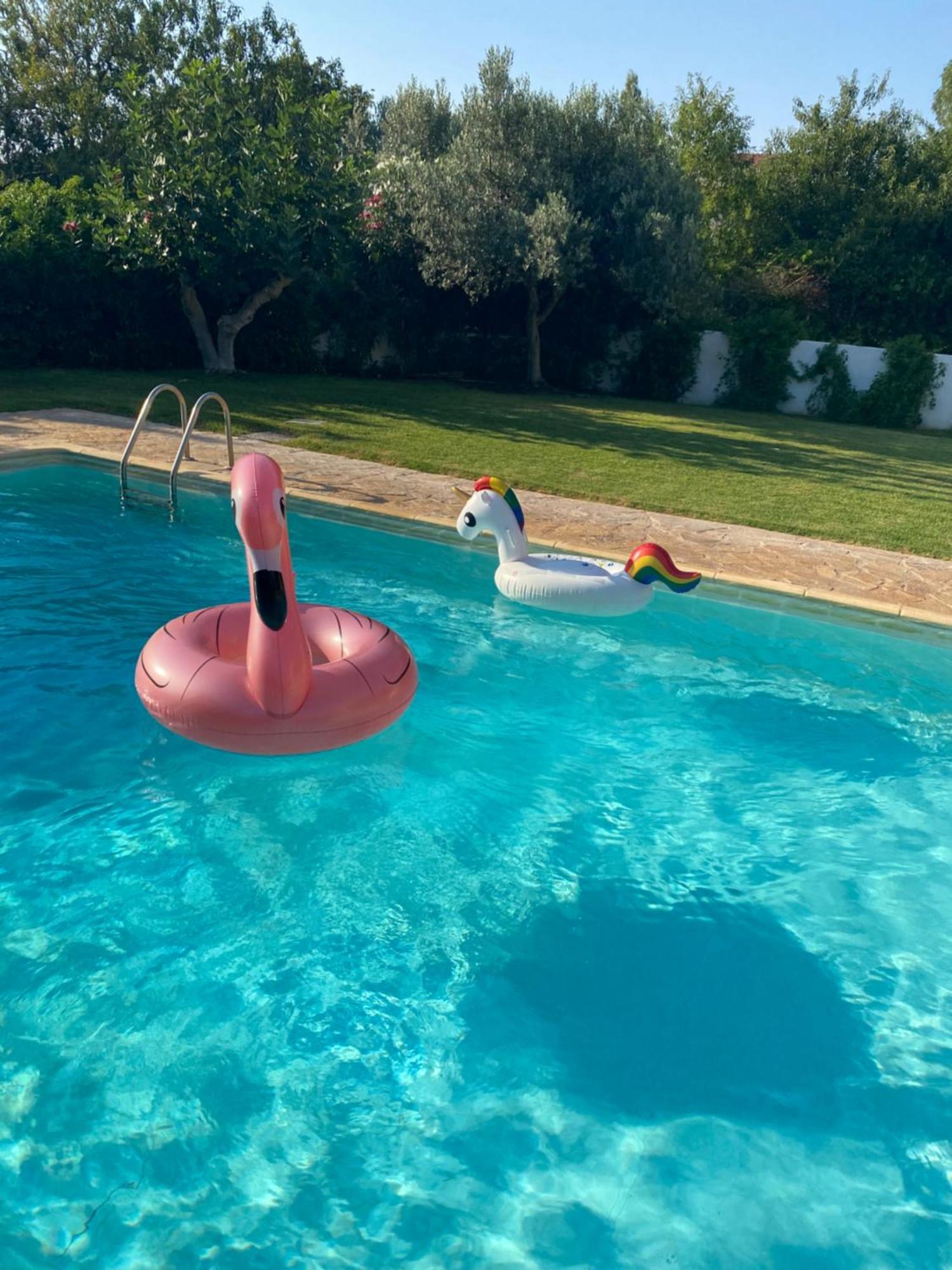 Relaxing Villa With Swimming Pool And Garden Agios Georgios  ภายนอก รูปภาพ