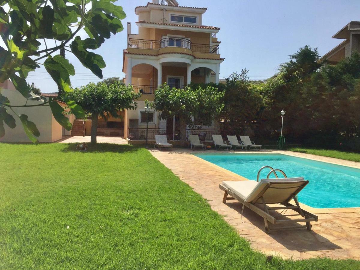 Relaxing Villa With Swimming Pool And Garden Agios Georgios  ภายนอก รูปภาพ
