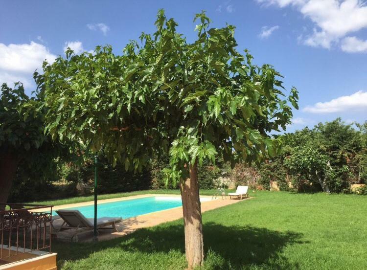 Relaxing Villa With Swimming Pool And Garden Agios Georgios  ภายนอก รูปภาพ