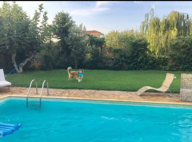 Relaxing Villa With Swimming Pool And Garden Agios Georgios  ภายนอก รูปภาพ
